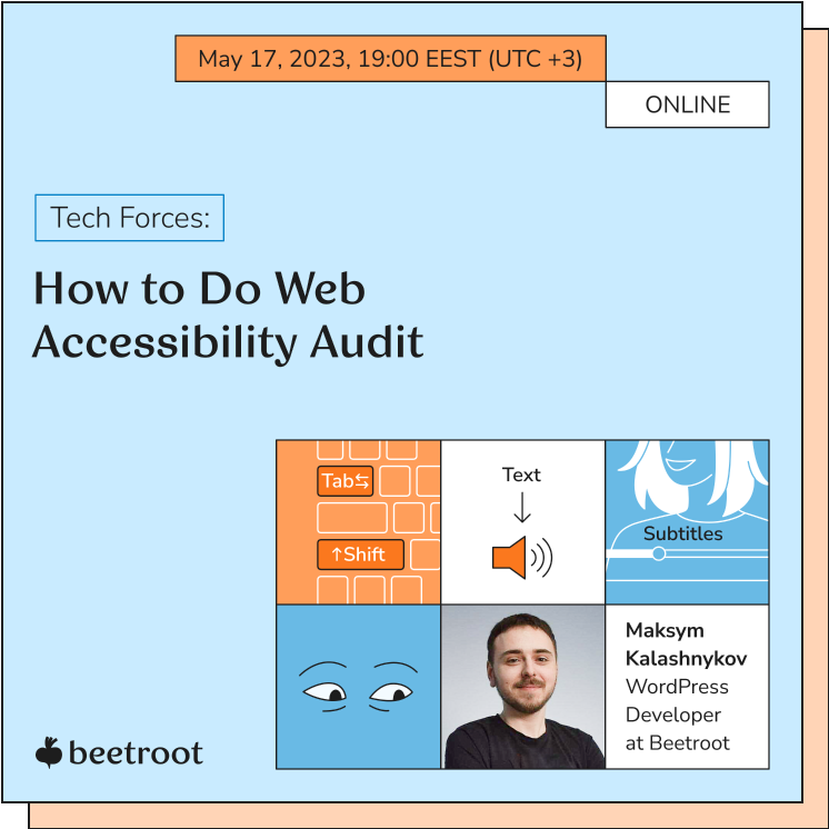 beetroot how to do web accessibility audit