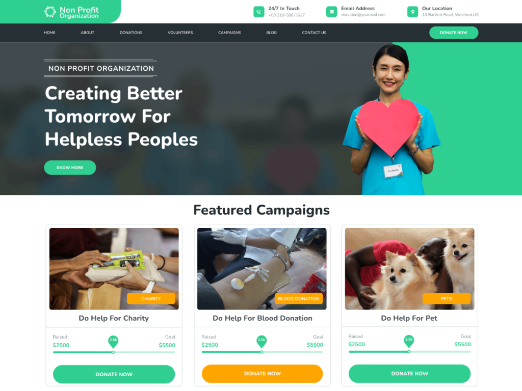 Image: WordPress themes for nonprofits - Nonprofit Organization